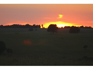 Property photo 10 - LARGE KANSAS AUCTION - 7,672+/- ACRES OFFERED IN 12 TRACTS IN CHAUTAUQUA COUNTY, KANSAS